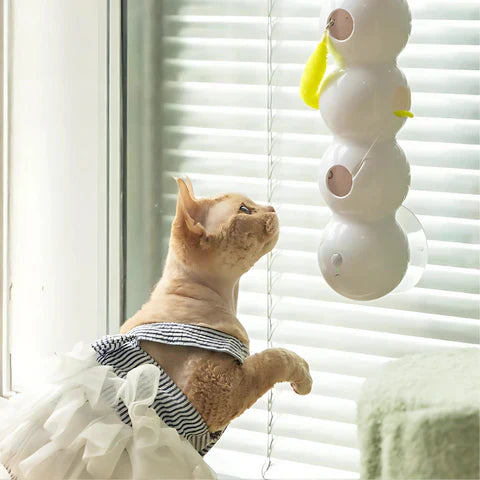 WhiskerGizmo™ Stimulates Hunting Instinct