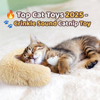 PawsJoy™ Active Happy Cat