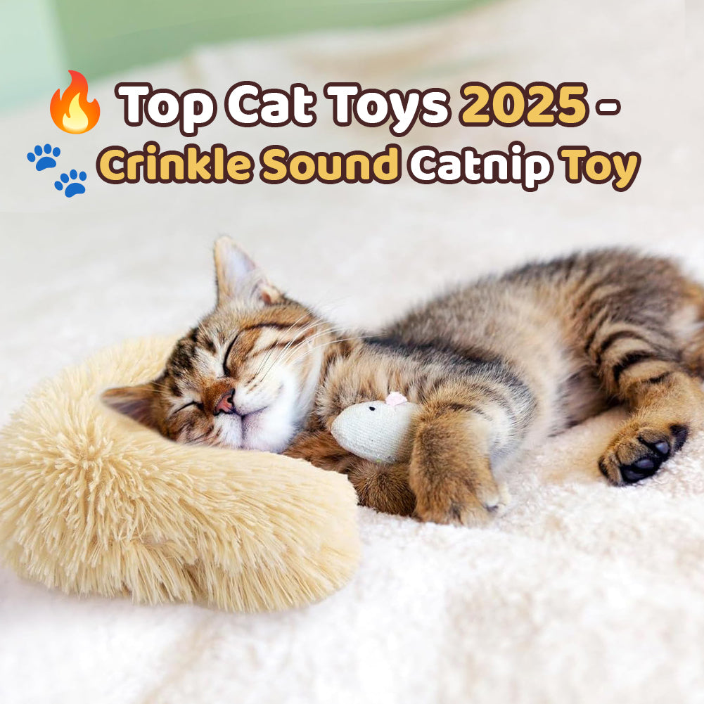 PawsJoy™ Active Happy Cat