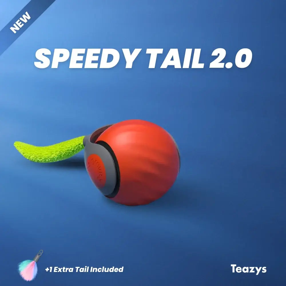 Interactive Rechargeable Cat Toy Ball