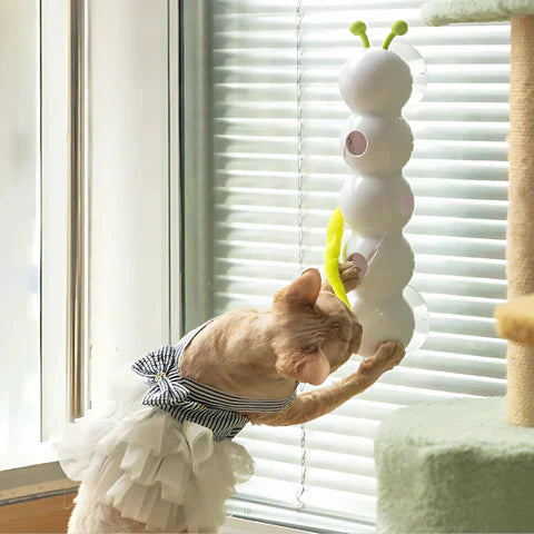 WhiskerGizmo™ Stimulates Hunting Instinct