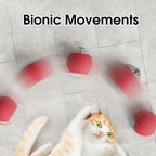 Smart Chase Pet Toy Ball