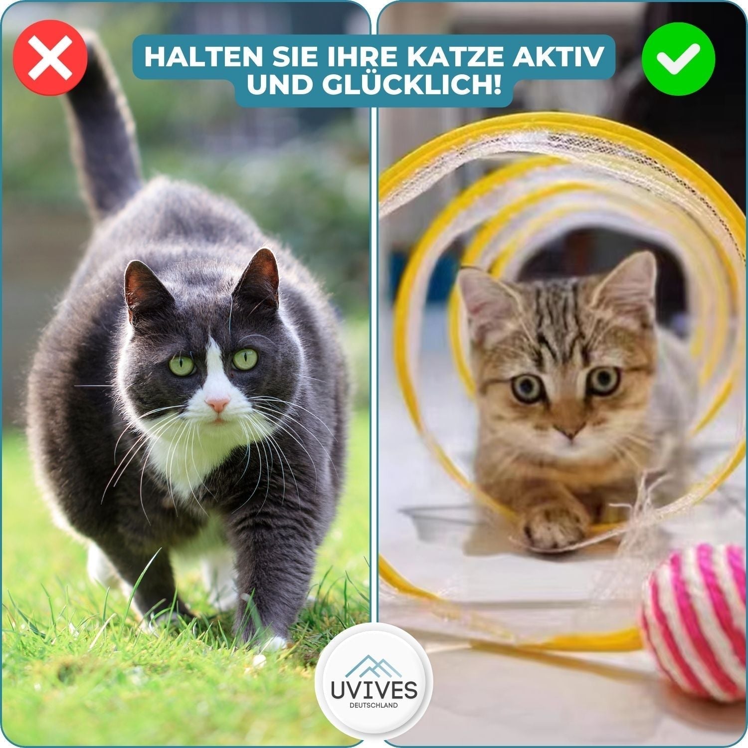 MeowMania™ – Integrated Toy
