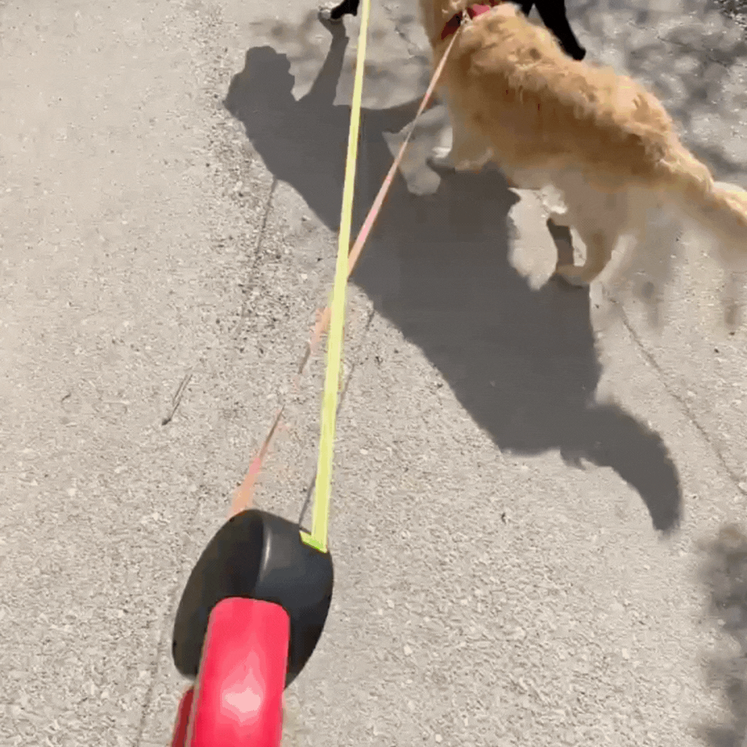 Twino™⎪Walk Two Dogs Without the Tangles