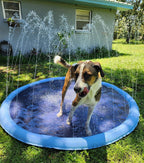 CutySplash™