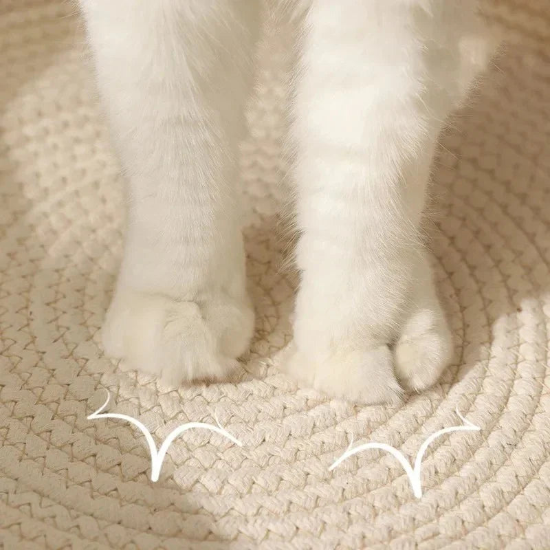 🐾  Cozy Cat Basket Bed