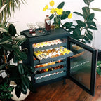 Compact Beverage Fridge