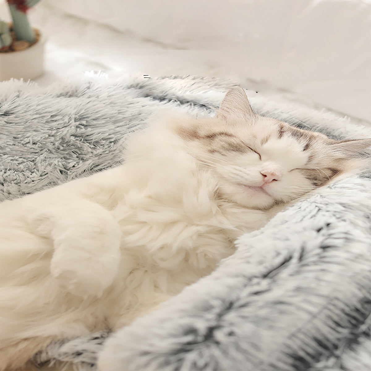 ComfyPaws™ Dreamy Pet Retreat