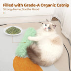 PawsJoy™ Active Happy Cat