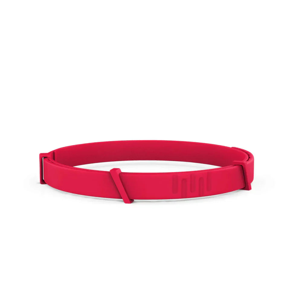 CutyCollar™
