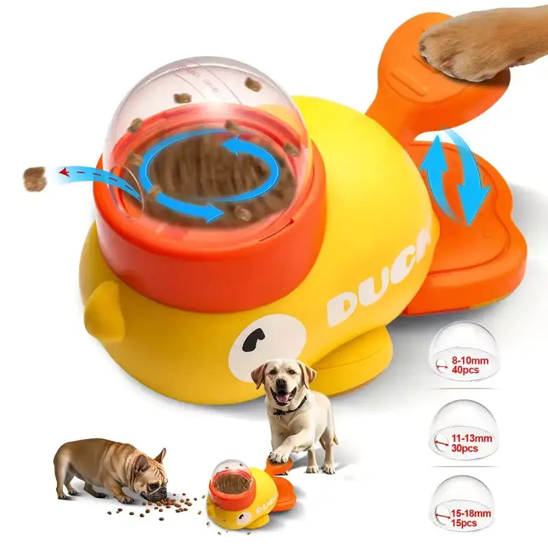 Automatic Dog Feeder