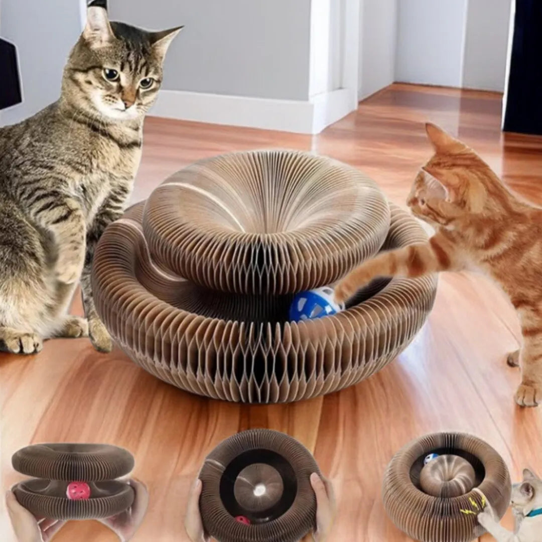 Cat Scratching Toy