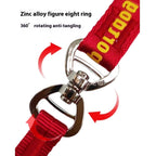2-in-1 Slip-Lead Dog Leash – Training Collar & Walking Lead with Anti-Tangle Swivel