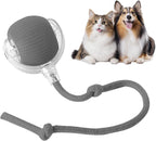 Smart Chase Pet Toy Ball