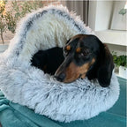 ComfyPaws™ Dreamy Pet Retreat