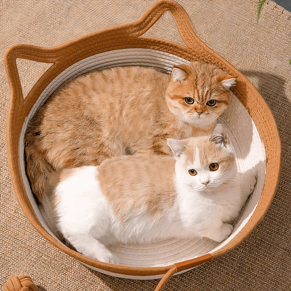 🐾  Cozy Cat Basket Bed
