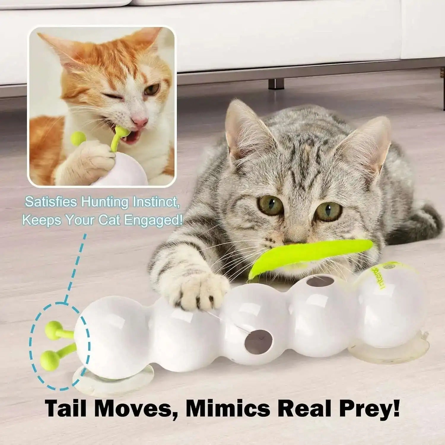WhiskerGizmo™ Stimulates Hunting Instinct