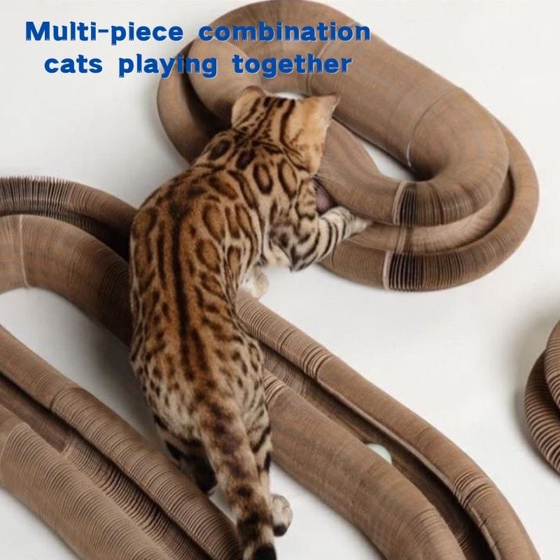 Cat Scratching Toy