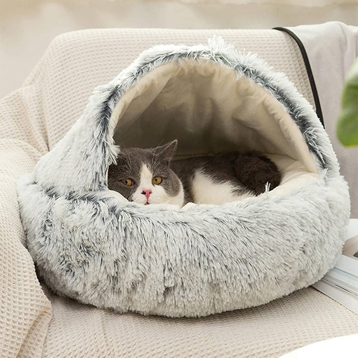 ComfyPaws™ Dreamy Pet Retreat
