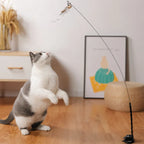 Interactive Bird Simulation Set