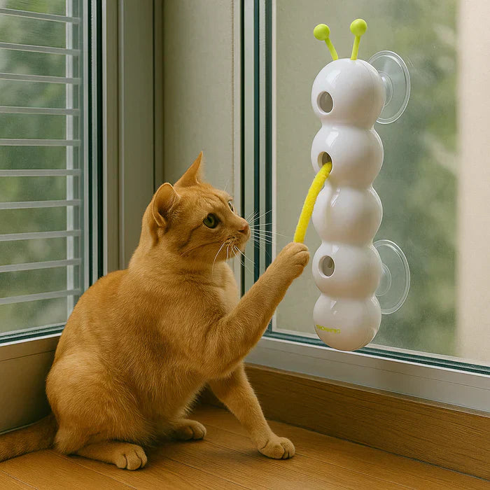 WhiskerGizmo™ Stimulates Hunting Instinct